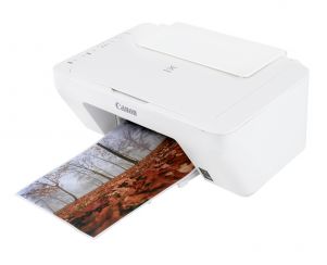 Canon PIXMA MG2950